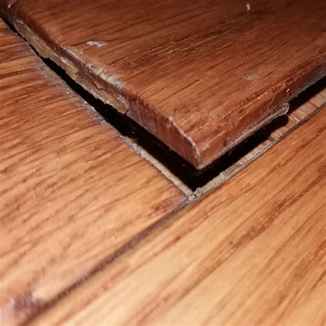Engineered Wood Flooring Water Damage How To Repair at Amanda Morrissey ...
