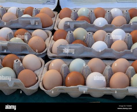 Brown and white eggs sitting in dozen count cartons sitting Stock Photo ...