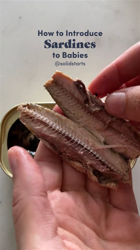 Sardines for babies can babies eat sardines first foods – Artofit