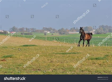 20 Ami Cum Images, Stock Photos & Vectors | Shutterstock