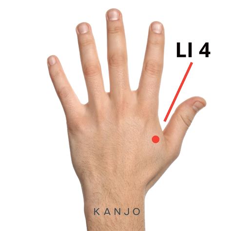 Acupressure For Toothaches: Best Pressure Points – Kanjo