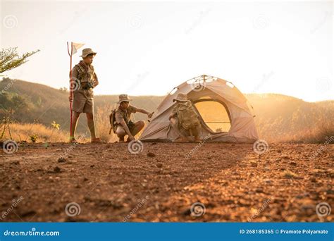 Teamwork of Three Boy Scouts Attending Scout Camp Pitching Their Tents ...
