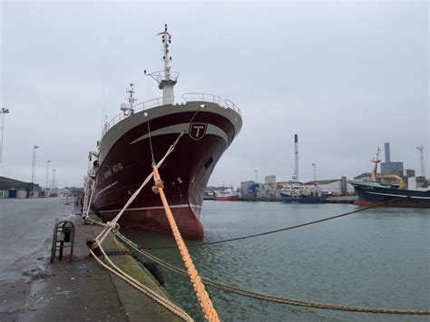 Ricoh Gr Digital IV review • Tobias Hjorth Nature Photographer