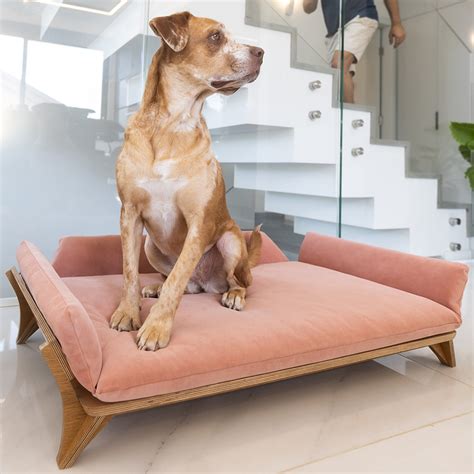 Luxury Wood Raised Pet Sofa, Big Dog Bed, Large Size High-end Dog Bed ...