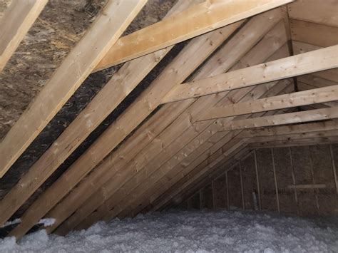 Mold In Attic : r/Mold