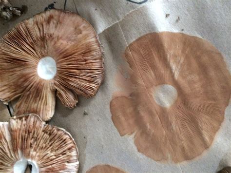 Section 2: Enterprise Planning - Cornell Small Farms