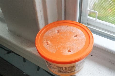 Ant Traps For Kitchen Counter at Harold Case blog