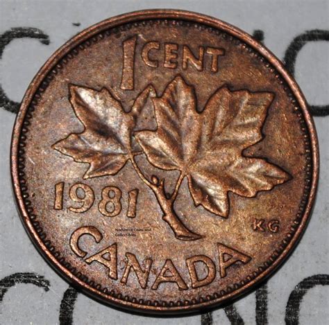 Canada 1981 1 Cent Copper Coin One Canadian Penny - Etsy
