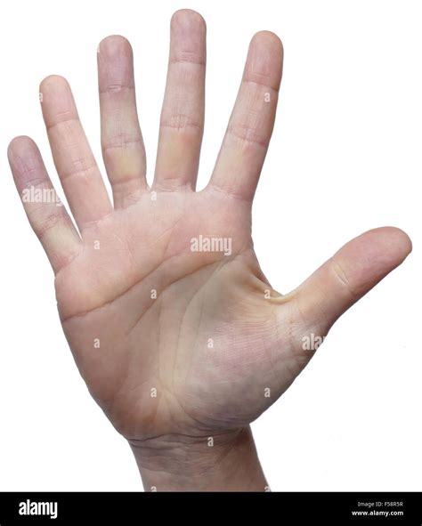 Hand With Six Fingers High Resolution Stock Photography and Images - Alamy