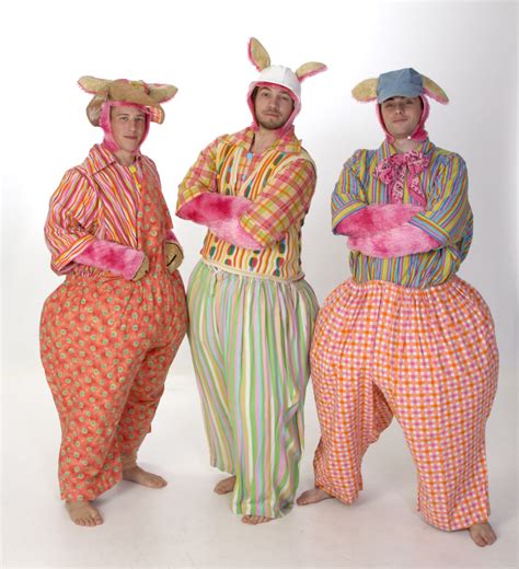 Three Little Pigs Costumes - Shrek Rental from $39-75 per costume ...