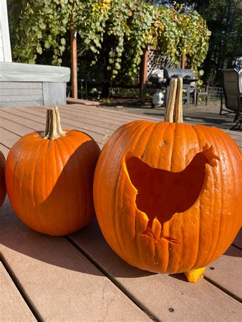 DIY "Chicken-o-Lantern" (Free Template) Plus The Benefits of Feeding ...