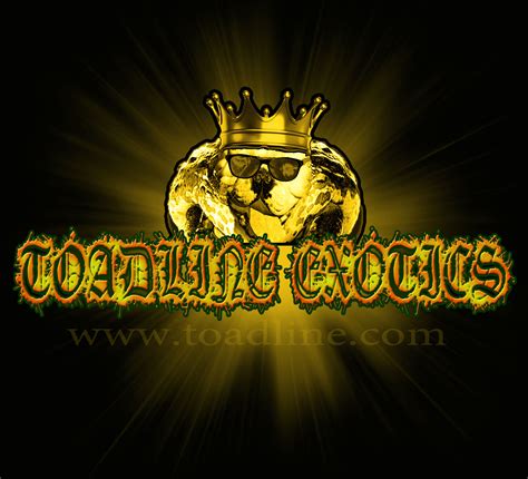 EXOTIC BULLIES FOR SALE TOADLINE BULLIES, EXOTIC BULLY KENNEL, MICRO ...