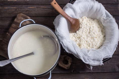 Curds and Whey - Little Miss Muffet Activity