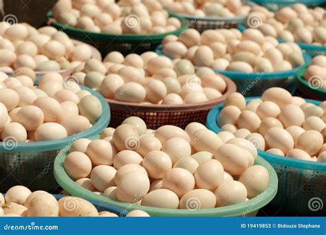 Market Basket Egg Prices at Molly Carmichael blog