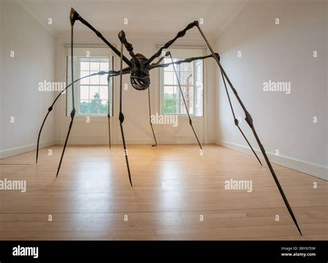 Giant spider sculpture by Louise Bourgeois, National Gallery of Modern ...