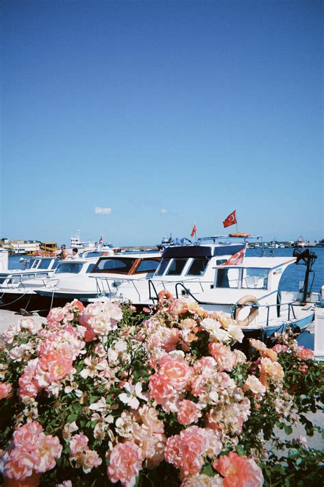 Mom+Big+Boobs Photos, Download The BEST Free Mom+Big+Boobs Stock Photos ...