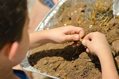 Premium Photo | Up close hands of a child sowing seeds in an urban ...
