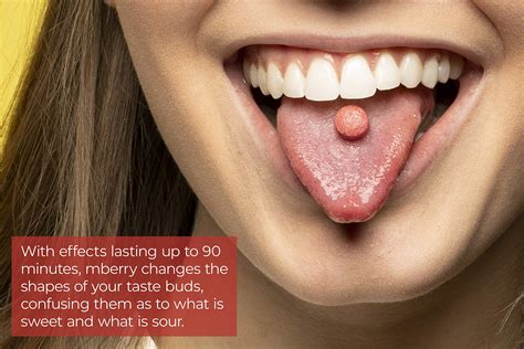Taste Buds On Back Of Tongue