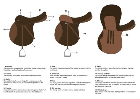 Understanding the Parts of a Saddle Diagram