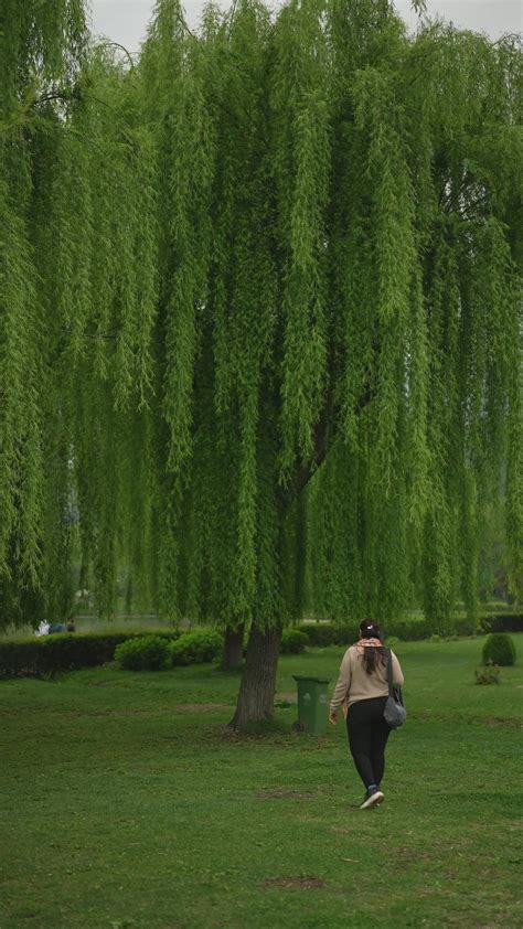 Xx+Bf+Video+Assam+Local+Assamese Videos, Download The BEST Free 4k Stock Video Footage & Xx+Bf ...