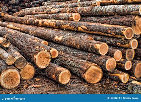 Raw Goods Are Materials Derived From Natural Resources at Bridget ...