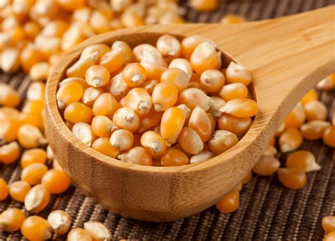 How Many Acres Does A Bag Of Seed Corn Plant | Storables