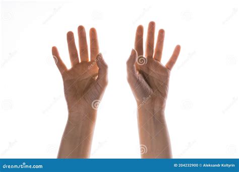 Hand Gestures. Elegant Female Hands Reach Up, Isolated on White, Stock ...