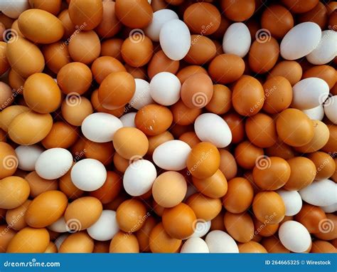 Pile of Brown and White Eggs in a Market Stock Image - Image of healthy ...