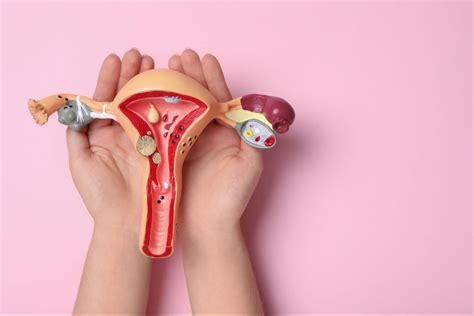 What is a Normal Uterus Size? | AFC
