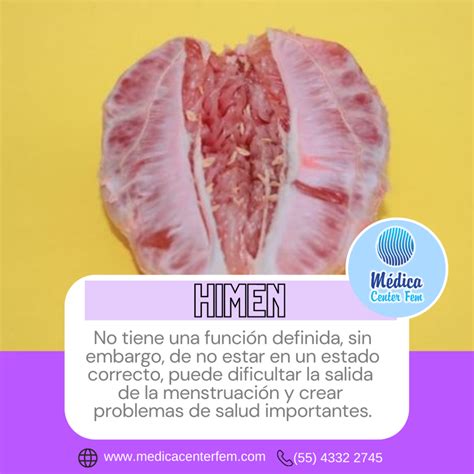 Himen: ¿Por qué se rompe? – Medica Center Fem