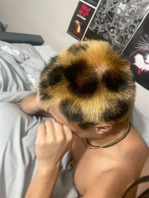 Cheetah print buzz bleach hair | Hair highlights, Bleached hair, Hair ...