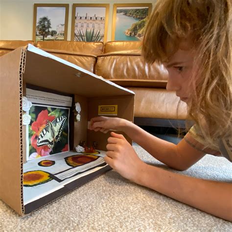 Solar System Diorama Shoebox at Dan Bray blog