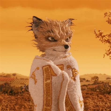 Ash Fox | Fantastic mr fox movie, Fantastic fox, Fantastic mr fox