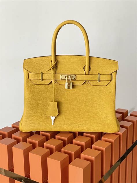 Hermes Birkin 25 Nata Swift Gold Hardware Yellow – Dunkhype Store