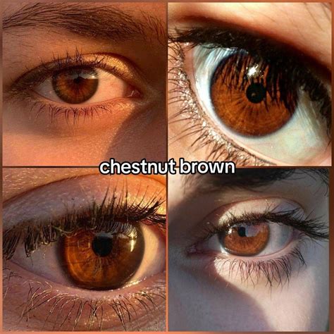 Pin by Elegant 🥝(omg 31k🫶🏻 thanks on FACE in 2024 | Brown eyes ...