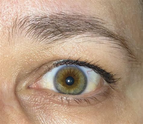 Are hazel eyes actually rare? : r/WhatisMyEyeColour