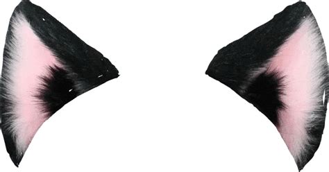 Cat Ear PNG Images Transparent Free Download | PNGMart