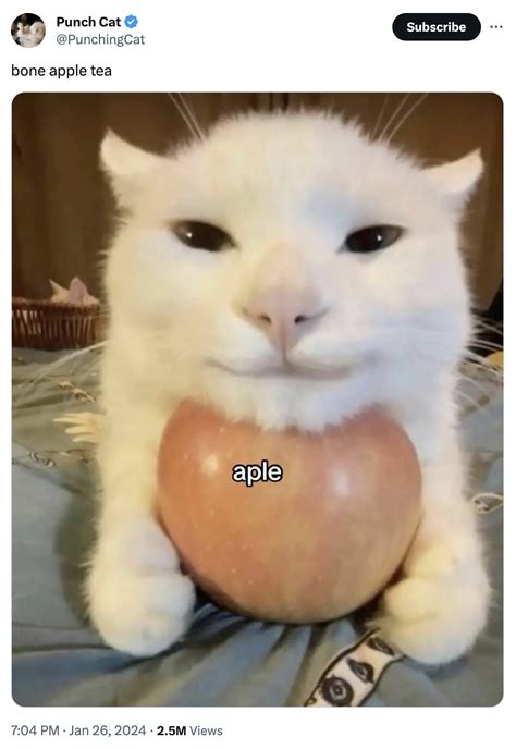 Cat With Apples / His Greed Sickens Me: Image Gallery | Know Your Meme