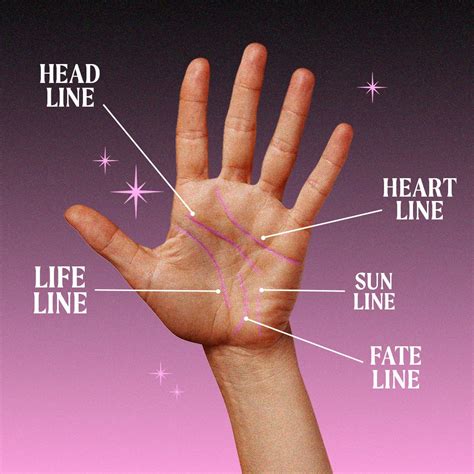 Palm Reading Guide