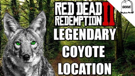 Legendary Coyote Location Red Dead Redemption 2 (RDR2 Hunting Guide ...