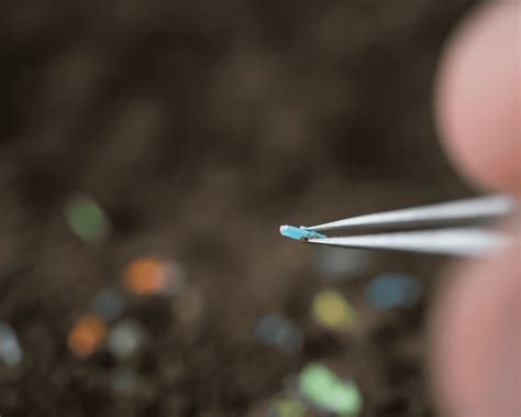 Does Mounjaro® Cause Cancer: Understanding the Science | Mochi Health