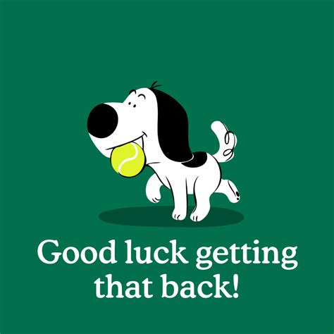 Why Is My Dog Is Jerking? 9 Reasons Why - Zigzag