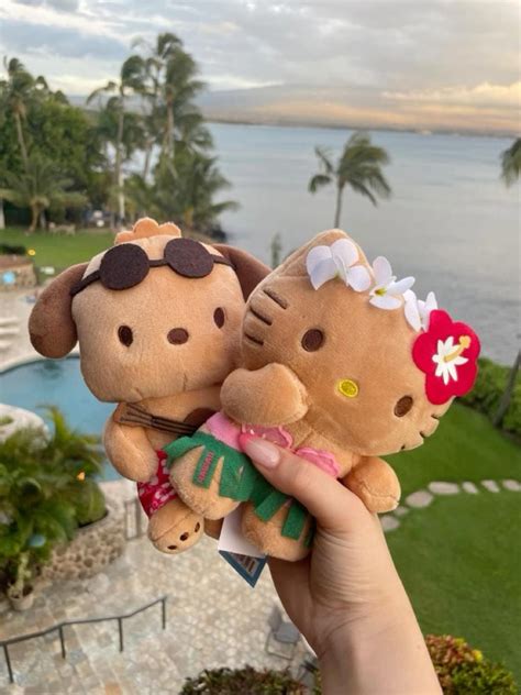 Hawaiian hello kitty and hawaiian my melody at abc store – Artofit