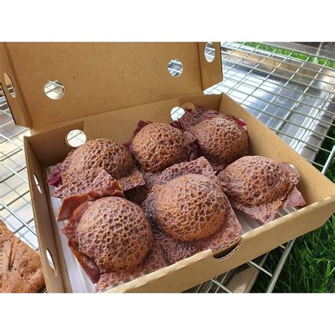 กล่องขนมครก ขนมบ้าบิ่น ขนาด 13.50 x 16.70 x 5 ซม. แพค 50 ใบ กล่องขนมอบ ...