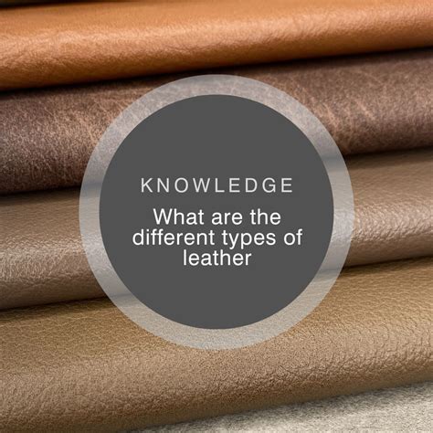 What are the different types of leather? | Yarwood Leather