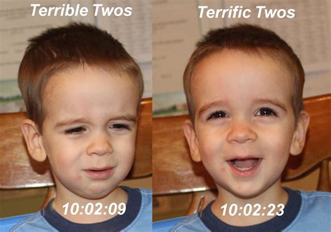 Terrible Twos or Terrific Twos