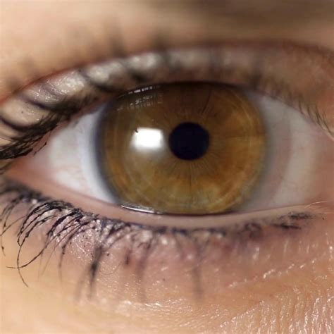 Best 13 Can You Use Expired Eye Drops? – Artofit