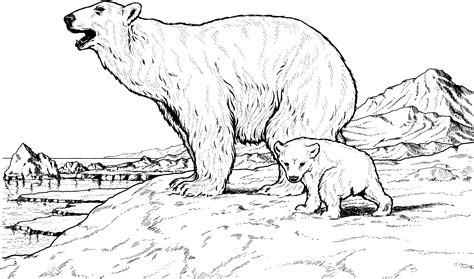 Free Printable Polar Bear Coloring Pages For Kids