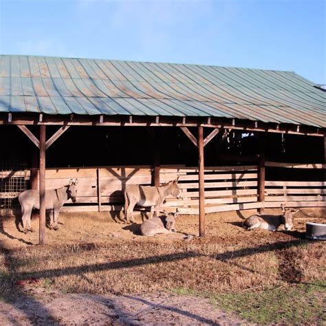 Sweetwater Lake Campground Camping | The Dyrt