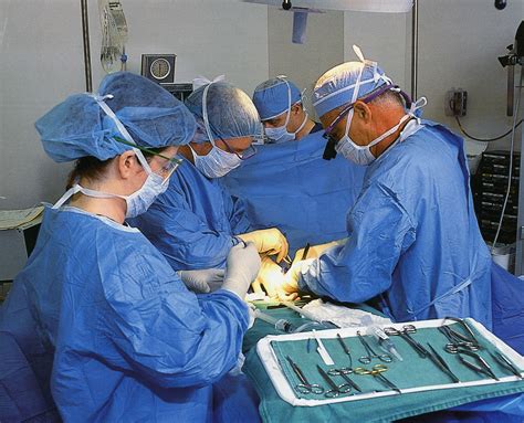 Tubal Reversal And Reversal Of Tubal Ligation